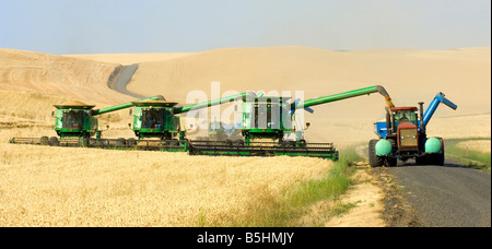 A team of combines with unloads into grain carts on the go in the Palouse region of Washington - panoramic Stock Photo