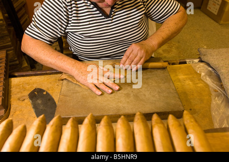 United States Of America Florida Miami district of Little Havana cigar factory rolling cigars Stock Photo