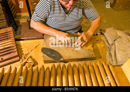 United States Of America Florida Miami district of Little Havana cigar factory rolling cigars Stock Photo