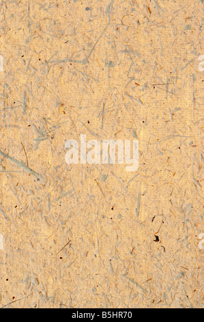 rough surface of the handmade paper with remains of plants - natural product Stock Photo