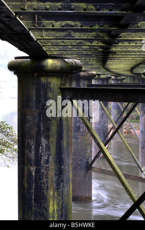 Penallt Viaduct over River Wye, Redbrook, Gloucestershire, England, UK Stock Photo