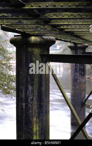 Penallt Viaduct over River Wye, Redbrook, Gloucestershire, England, UK Stock Photo