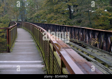 Penallt Viaduct over River Wye, Redbrook, Gloucestershire, England, UK Stock Photo