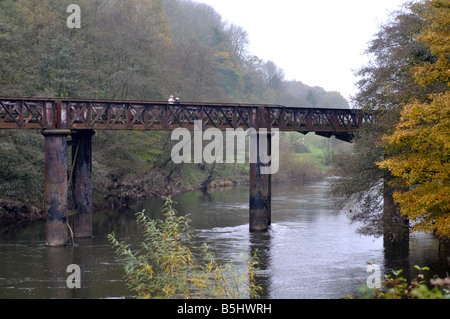 Penallt Viaduct over River Wye, Redbrook, Gloucestershire, England, UK Stock Photo