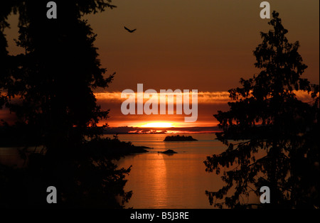 Winchelsea Islands dramatic sunset through conifers at north Nanaimo Vancouver Island BC in July Stock Photo