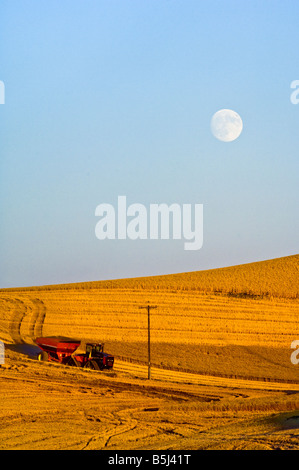 The moon rises over a wheat field in the Palouse region of Washington as a quad track tractor pulls a grain cart in the field Stock Photo