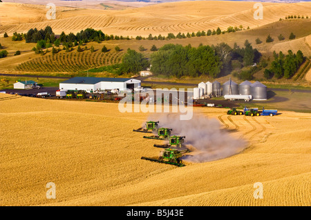A team of combines harvest wheat adjacent to the farm shop in the Palouse region of Washington Stock Photo