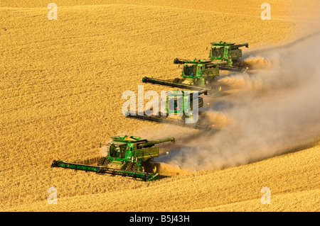 A team of combines harvest wheat in the Palouse region of Washington Stock Photo