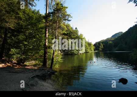 a beautiful day in the tyrolean alps Stock Photo