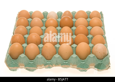 Brown hens eggs in a green cardboard tray on a white background. Stock Photo