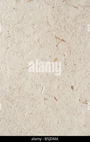 Detail of the rough surface of the handmade paper with remains of plants - natural product Stock Photo