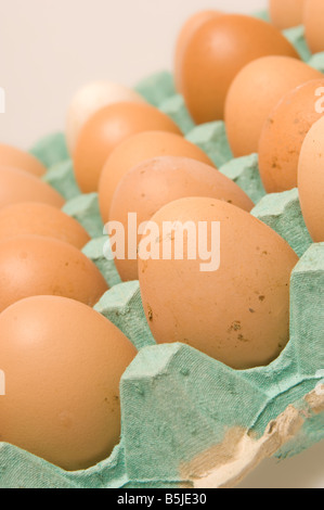 Closeup of brown hens eggs in a cardboard tray on white background. Stock Photo