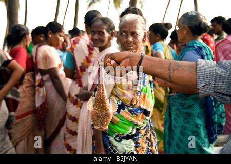 TamilNadu HAI Thalanguda fishing community women wives sort buy sell their family s catch of kadama kala mathi parai Stock Photo