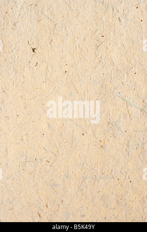 Detail of the rough surface of the handmade paper with remains of plants - natural product Stock Photo