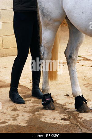 woman legs horse legs Stock Photo