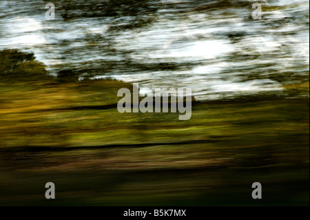 The UK countryside speeding passed the car window Stock Photo