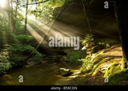 The sun shining threw the trees on the hiking trail near Old Man s Cave in The Hocking Hills State Park near Logan Ohio Stock Photo