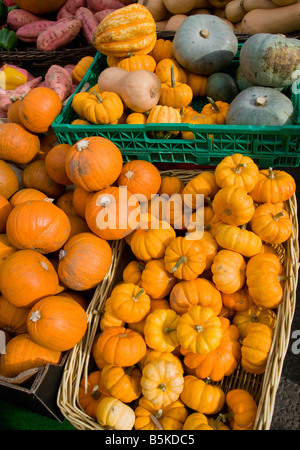 Organic pumpkins and squashes for sale on a market stall Stock Photo
