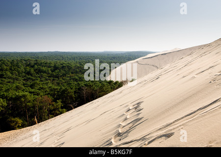 Panoramic view of the Pyla great sand dune and the Landes forest France Stock Photo