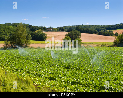 Automatic crop irrigation system in a field in the South of France, Europe Stock Photo