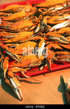 Chesapeake Bay steamed blue crabs Stock Photo