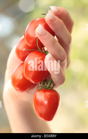 Woman Holding Plum Tomatoes Model Released Stock Photo