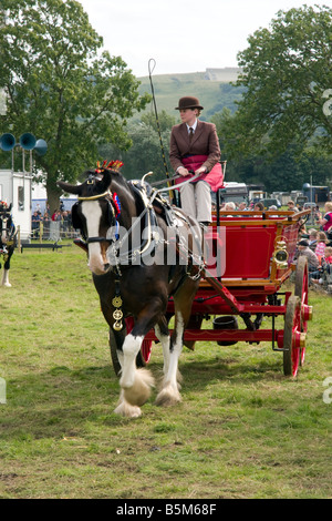 horse and cart turnout at the 2008 hope show Stock Photo