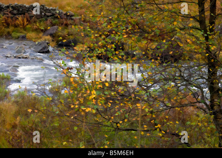 fall foliage at the river duddon near birks bridge with photoshop buzz simplifier filter Stock Photo