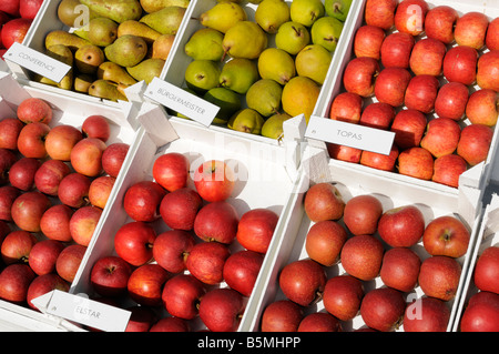Obststand in Niedersachsen Altes Land Deutschland Fruit stand in Lower Saxony Altes Land Germany Stock Photo