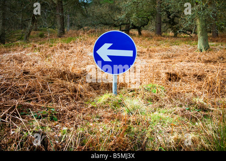 Out of place one way road sign pointing to the left in a forest clearing Stock Photo