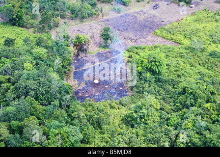 aerial view Open buring for rice cultivation Stock Photo