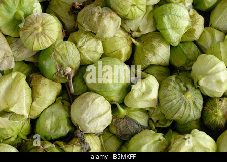 Tomatillos at an open air market Stock Photo