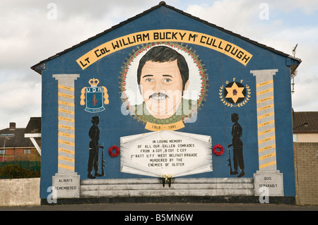 Loyalist/Unionist mural, 'Lt Col William Bucky McCullough' Stock Photo
