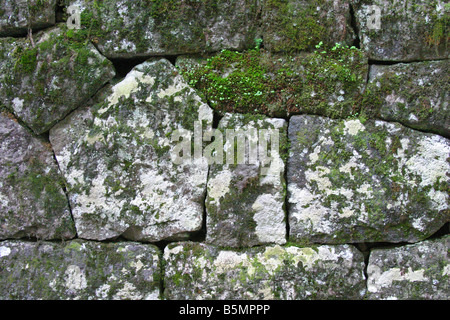 Stone Wall at Nikko Toshogu Shrine Nikko Tochigi Japan Stock Photo