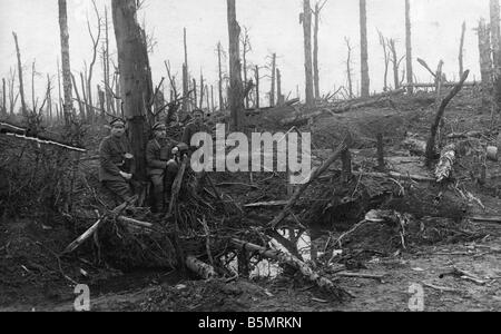 WW1 West Fr Photo 1918 World War 1 Western Front German major offensive March July 1918 Woodland after artillery fire Photo Stock Photo
