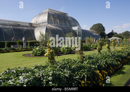 The Palm House, Kew Gardens, Richmond London, England GB UK Stock Photo