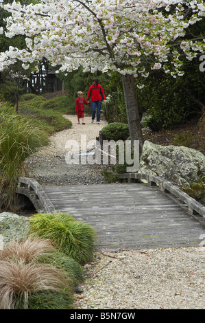 Spring Blossom Miyazu Japanese Garden Nelson South Island New Zealand Stock Photo
