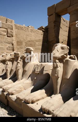 The Avenue of Rams Headed Sphinx Temple of Amun, Karnak, Luxor, Egypt Stock Photo