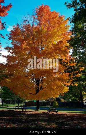 Autumn at Martyrs Shrine in Midland,Ontario,Canada Stock Photo