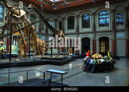 Group of children in the main hall of the Natural Sciences Museum from Berlin, Germany. Stock Photo