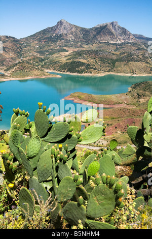 view over lake from zahara de la sierra ronda cadiz Stock Photo - Alamy
