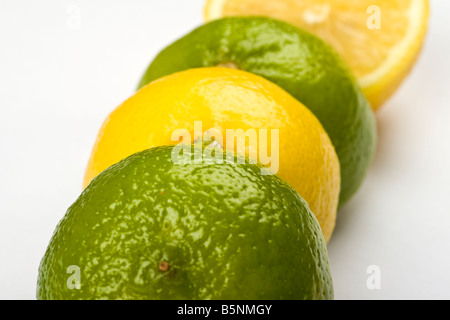 Lemon & Limes in a row Stock Photo