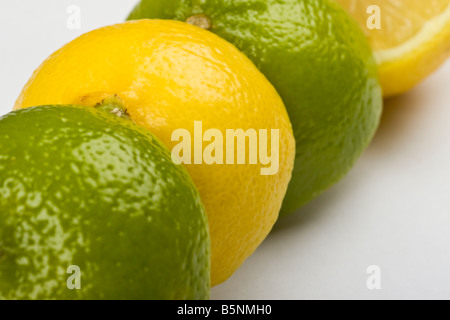 Lemon & Limes in a row Stock Photo
