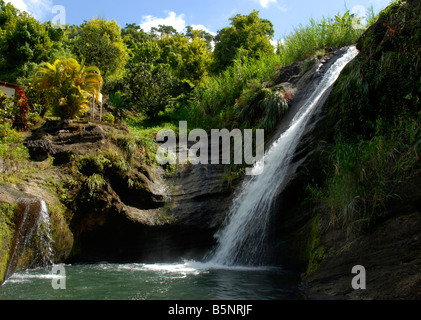 Concord Waterfalls, Grenada, 'West Indies' Stock Photo