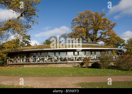 Green turf roof on cafe with autumn colours Westonbirt Arboretum Tetbury UK Stock Photo