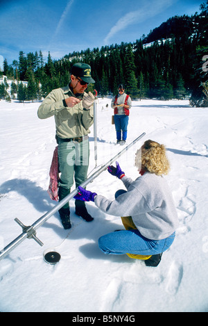 US Forest Service  performing snow survey. Stock Photo