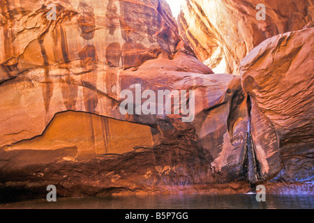 Cathedral in the Desert re-exposed during drought years at 3,567-foot low water level, Lake Powell, Utah. Stock Photo