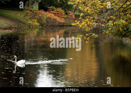 syon park london automn Stock Photo