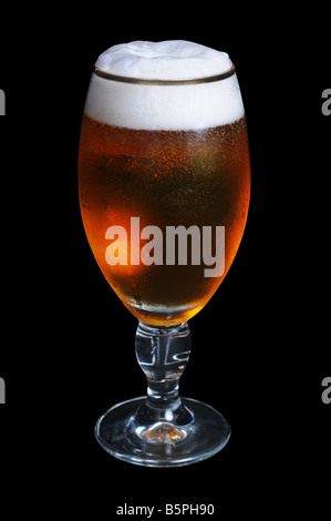 An elegant glass of beer isolated on black background. Stock Photo