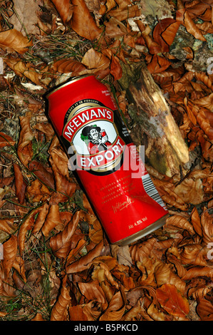 An empty can of  McEwans export surrounded by beech leaves. Stock Photo